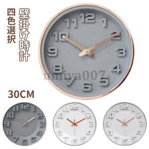 Ǌ|v |v fW^ É  k Vv 傫 v ₷ CeA EH[NbN   v[g dg 30CM