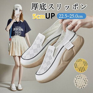 Xb| fB[X EhgD胍[t@[ JWAV[Y 5cm Od ₷ lԍHw [t@[ y ~ ʋC