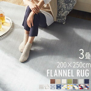 ���O �J�[�y�b�g 3�� ���O�}�b�g �O�~ �􂦂� ������� �k�� �h�_�j ���� ����~�ߕt ���g�Ή� �ᔽ�� �I�[���V�[�Y�� �����` �z�b�g�J�[�y�b�g ��l��炵