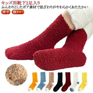 qp {A C 2 ӂӂ N ~ LbY w   v[g  g ₦C [\bNX \bN