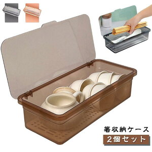 【2個セット】 カトラリーケース 蓋付き 箸入れ 箸収納ケース お箸収納ボックス 半透明 水切り板付き 無地 シンプル お箸 スプーン ナイフ フォー