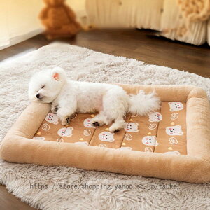 ybgxbh GARp ӂӂ L  xbh NbV ``  ӂӂ g ~p ʔN 􂦂 gΉɂn Lpxbh