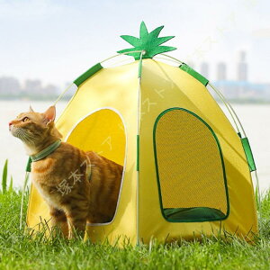 ybgxbh h[ 􂦂  ybg eg ybgnEX L xbh y  킢 ybgxbh L eg  v  P[Wp gݗĎ