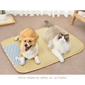  ybg }bg ybgxbh XNGA^ 􂦂 ^p NbV xbh Lp NbV _炩 xbh ybgnEX NbV  L