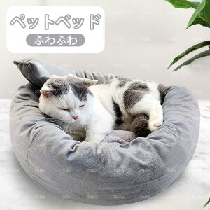 L ybgxbh  ėp pxbh hbOxbh t 􂦂 ~ ps[ Lp VL p L ʋC    ی^ ʋC y