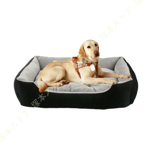 ^  ybg xbh ybgxbh pxbh pNbV 􂦂 p  VjA V v   L ^ ʋC ې  