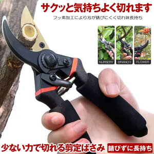 y y͂ŃXpbƐ؂ z ΂ nT~ }؂oT~ ͂ Kтɂ tbfR[eBO ₷ oT~  Ă΂ }΂ ؂̙   