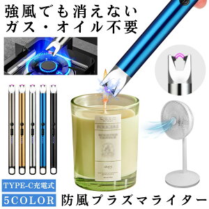 �v���Y�}���C�^�[ �d�q���C�^�[ �[�d�� �����ŏ����Ȃ� ���C�^�[ �A�[�N���C�^�[ USB TYPE-C �K�X �I�C�� �s�v �_�Ηp���C�^�[ �L�����h�� �ԉ� �낤���� �A�E�g�h�A ���� �ԉ� �L�����v �� �d