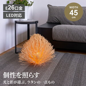 Ɩ Cg  e[uCg X^h ԐڏƖ Ɩ fUCƖ ؐ fXNCg LED v e[uv rO VR ][g CeA iCge[u VRf