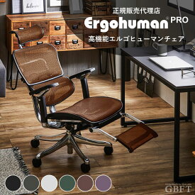 Ergohuman エルゴヒューマン プロ ヘッドレスト付き オットマン内蔵 EHP-LPL KM-13 オレンジ チェアー オフィスチェア 高機能 デスク用チェア 送料無料