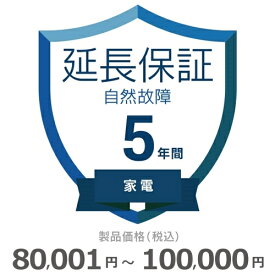 家電自然故障保証【5年に延長】80,001円～100,000円