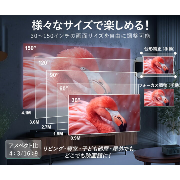 楽天市場】【1/10限定最大2000円OFFクーポン発行＆エントリーでP4倍 