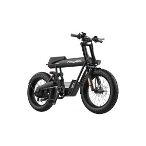 MODEL COSWHEEL MIRAI COMFORT �d���A�V�X�g���]�� e-bike �}�b�g�u���b�N�X�J�C�O���[�s���A�z���C�g
