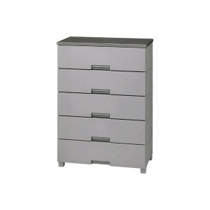 Tenma e} Vn `FXg O[ ߗގ[ o vX`bN `FXg 75 s40 105cm