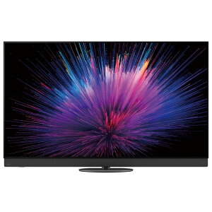 �y1/25����ő�2000�~OFF�N�[�|�����s���G���g���[��P4�{�I�X�ɑS���i�|�C���g3�{�I�z Panasonic �p�i�\�j�b�N VIERA TV 65Z95B 4K�L�@EL�e���r �v���C�}���[RGB�^���f������ 65V�^