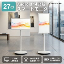 Acer amadana amadana モニター DP10