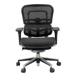 y11/25ő2000~OFFN[|sGg[P4{IXɑSi|Cg3{Iz GSq[} Ergohuman ItBX`FA x[VbN [^Cv EH-LAM F-BK KMD-31