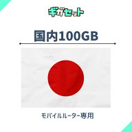 追加ギガ 100GB( 有効期限1年間)docomo/au/softbankから一番良い電波をキャッチ！ギガおかわり (ギガセッ…