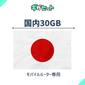 追加ギガ 30GB( 有効期限1年間)docomo/au/softbankから一番良い電波をキャッチ！ギガおかわり (ギガセットWi-Fi 専用)