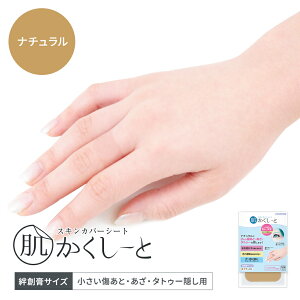 Ԃ!^gD[ByJnpTCYE12E䂤pPbgzRXvC[ɂ߁I^gD[EƁEBw[JnpTCY12ZbgxXLJ