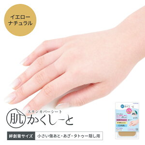 Ԃ!^gD[ByJnpTCYE12E}ցEzցzRXvC[ɂ߁I^gD[EƁEBw[JnpTCY12ZbgxXLJo