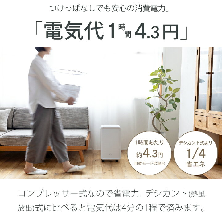 楽天市場】【 限定価格〜6/29まで 】【2024年型落ち・プライスダウン 