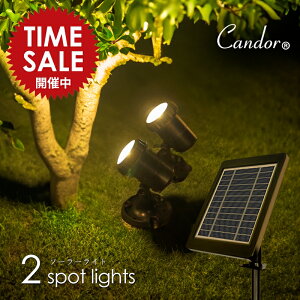 Candor(R)  Ki \[[Cg O h Ɩ 邢 u^ ygF2z  K[fCg 3m Oz LED [d X|bg Cg dF C~l[V ZT
