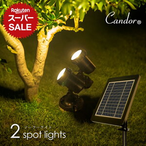 y艿i`12/11zCandor(R)  Ki \[[Cg O h Ɩ 邢 u^ ygF2z  K[fCg 3m Oz LED [d X|bg Cg dF C~