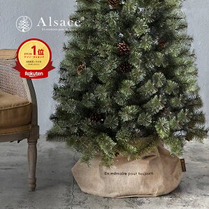 y Alsace(R) KizobO  r Jo[ [{bNX X^hJo[ IV NX}Xc[ AUX k NX}X c[ XJ[g Vv  傫 NX}X B