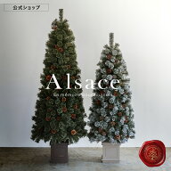【★要エントリー★全品P10倍】【公式 Alsace(R) 正規品】ポットツリー Coffret(コフレ) & Noblesse(ノブ…