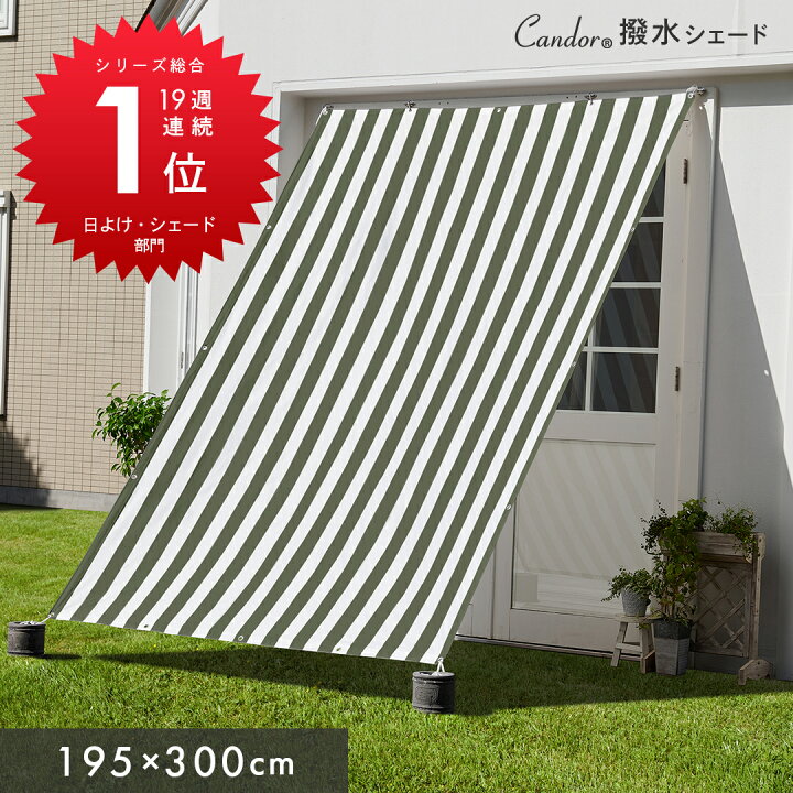楽天市場】【 2点以上でさらに10%OFF 】高評価4.49☆ 19週連続1位受賞 