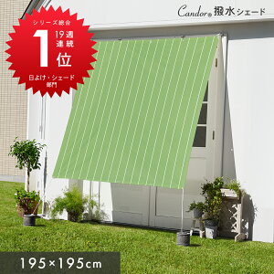 Candor(R) 悯 VF[hy 195×195cmz ΍ O 96Jbg UV΍ 13.4} 悯VF[h  XN[ I[jO ډB TVF[h  x_ J悯V