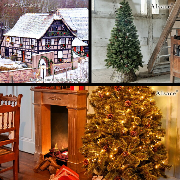 楽天市場 Alsace 公式 デイリーランキング98日連続1位 予約 クリスマスツリー 150cm 豊富な枝数 22ver 樅 高級 ドイツトウヒ ツリー オーナメント なし アルザス ツリー Alsace おしゃれ ヌードツリー 北欧風 まるで本物 スリム 組み立て5分 散らからない Ornament