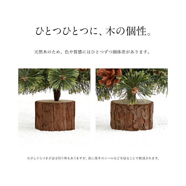 楽天市場】【公式 Alsace(R) 正規品】クリスマスツリー 2026ver. ミニ 