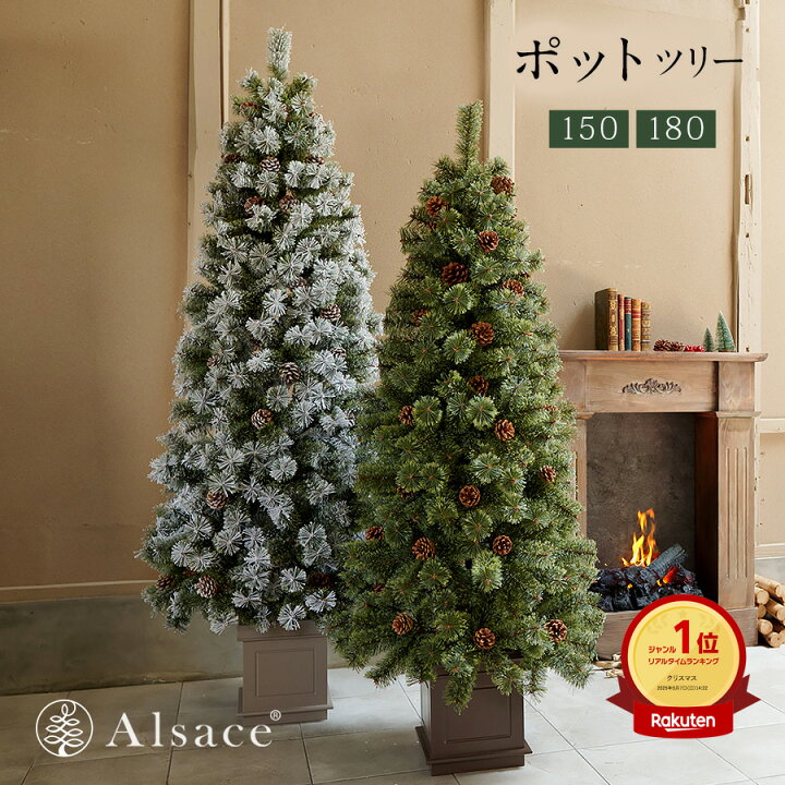 楽天市場】【公式 Alsace(R) 正規品】ポットツリー Coffret(コフレ 