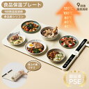 【9段階温度調節】 食品保温プレート 電気保温トレイ ホットプレート 解凍プレート フードウォーマー 折りたたみ式 急…