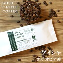 【200g エチオピア産ゲイシャ100%】 ★ゲイシャ農園 ジャスミン G1★華やかな香り | コーヒー豆 | 珈琲豆 | お試し | 高級 |ギフト | 約20杯分 | 送料無料 | 【豆・粉選べます】 | スペシャルティコーヒー | ゴールドキャッスルコーヒー | 敬老の日 | お歳暮 | クリスマス |