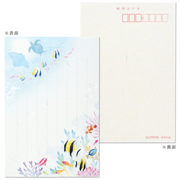 はがき コーラル シー ３枚入り148x100mm (ポストカード/私製はがき/熱帯魚/暑中見舞い/夏柄) | G.C.PRESS（ジーシープレス）
