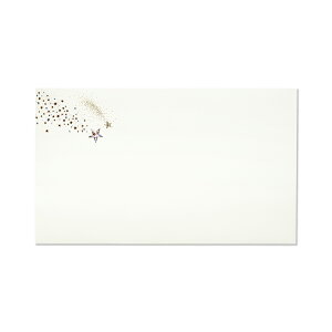  ꐯ 110x 185mm 4[503-15]| G.C.PRESSiW[V[vXj| [  m  zO  ̓ ̓ t |Cg bL[V{ bL[`[t