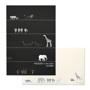 14i2×e7jE5ZbgbChCtbⳃTCYF210x148mmATCYF110x187mm [XBF0088] | G.C.PRESSiW[V[vXj| [ ⳃZbg ^[Zbg A5 AtJ 