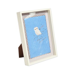 t[hA[g VtNE 185×134×23mm[620-50]| G.C.PRESSiW[V[vXj| [ t[ A[gt[ ӂ낤  ̓ ̓ CeA |Cg bL[V