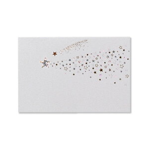 ~jJ[h ړI ꐯ n 75×105mm 1g(bZ[WJ[h/Vv/a/j) | G.C.PRESSiW[V[vXj