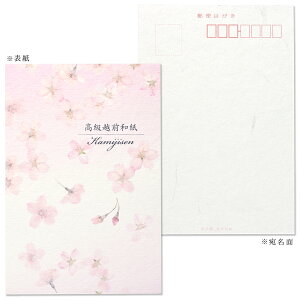 ͂ i SAKURA 148x100mm 26(/a/m/͂) | G.C.PRESSiW[V[vXj