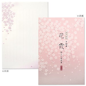 8i18j | i ԉ | TCYF235x162mm / ^er11s 11.5mm [256-28] | G.C.PRESSiW[V[vXj | [ ^er a  t )