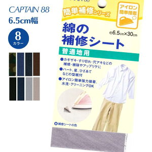 Ȃ̕CV[g CP110 Lve CAPTAIN  C JMUL ؂     O[ fj x[W  ACڒ 6.5cm