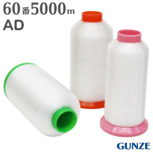 ~V O[AD 60 5,000m O[   HƗp Ɩp 努 e O[ AD Xbp \t@[ T_ J[e CX