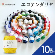 【ポイント5倍：マラソン限定】 毛糸 ハマナカ エコアンダリヤ 【10玉セット】ハマナカエコアンダリア 02…