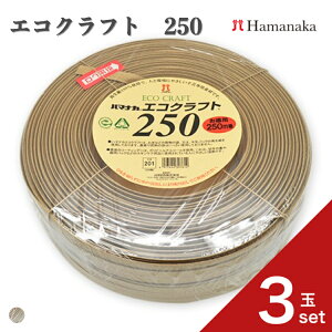 y|Cg10{FubNtCf[zy3ʃZbgz ю Hamanaka n}iJ GRNtg 250 0209ю ҂ݕ ҂ j҂ юZbg SҌю ʔ 