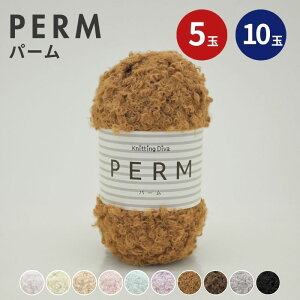 y|Cg10{FubNtCf[zю perm p[ yS10Fz 5 10 ݂ ҂݂ jbeBOfB[@ Knittind Diva |GXe ɑ 100g  努 ҂ݕ ҂ 