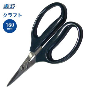 Ntg͂ 160mm 893  ͂ nT~  | ٖD nhCh i |͂ |΂ Ntg